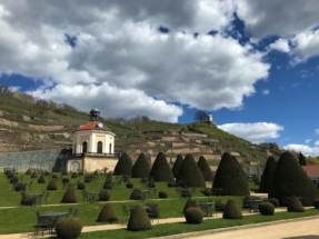 IMG_1442_bearbeitet IMG_1442_bearbeitet